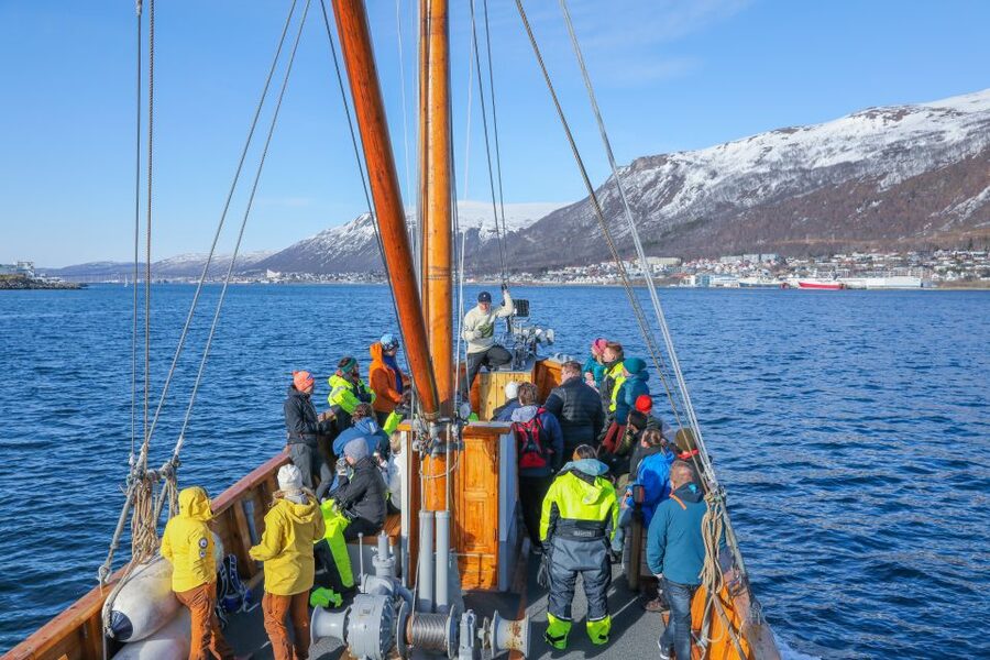 1 Hour Photo & History Cruise - Meeting Hermes II beside central Tromsø