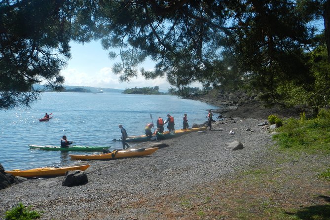 2- hour kayak trip on the Oslo Fjord - Key points to know before you paddle