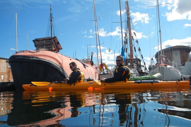 2- hour kayak trip on the Oslo Fjord - Is $117.91 a fair price?