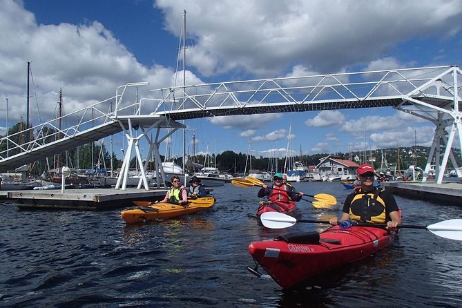 2- hour kayak trip on the Oslo Fjord - Who will enjoy this Oslo Fjord outing most?