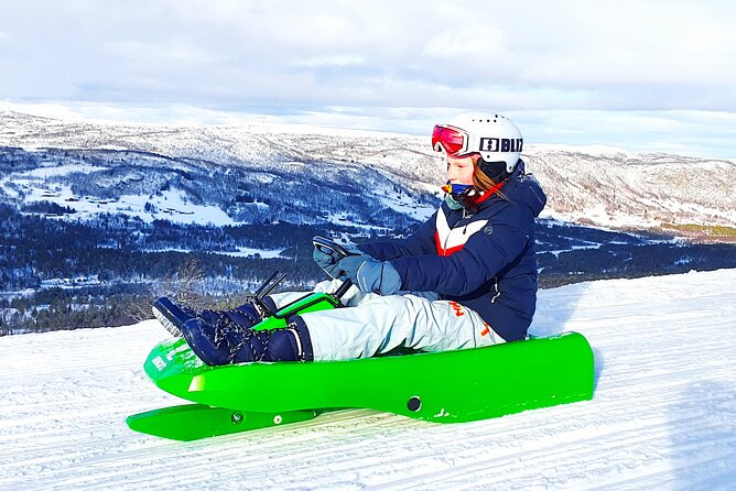2-Hour Racing Toboggan at Dagali Fjellpark near Geilo in Norway - Why this Dagali Fjellpark ride is worth your time