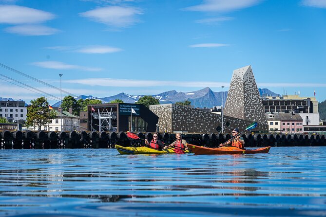 3-Hour Kayak Tour in Åndalsnes - Who will enjoy this tour most