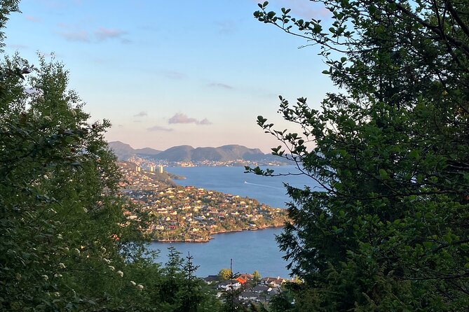 3-Hour Private Norwegian Hiking Experience with Local Guide - Hotel pickup makes the timing easy