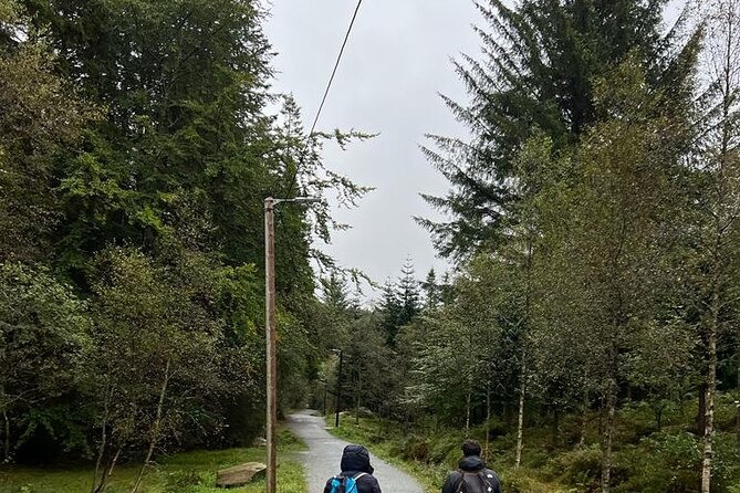 3-Hour Private Tour Hiked through the Bergen Mountains - Starting in central Bergen at the Fløibanen