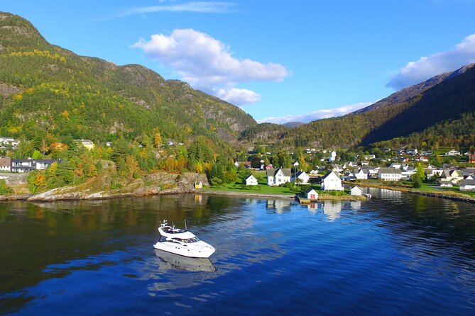 4 Day Bergen - Hardangerfjord private fjord-cruise - Day 4: Vøringsfossen, Måbødalen, and the Hardanger Bridge