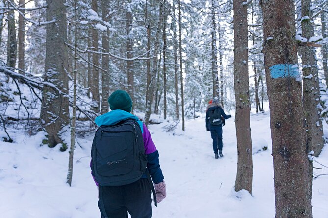 4 hours Best View of the Oslofjord Winter Edition - Fuglemyrhytta and the Norwegian cabin tradition