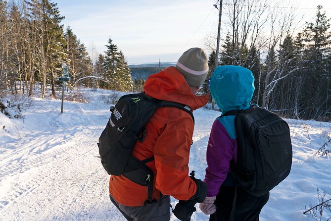 4 hours Best View of the Oslofjord Winter Edition - Is $107.17 a fair price?