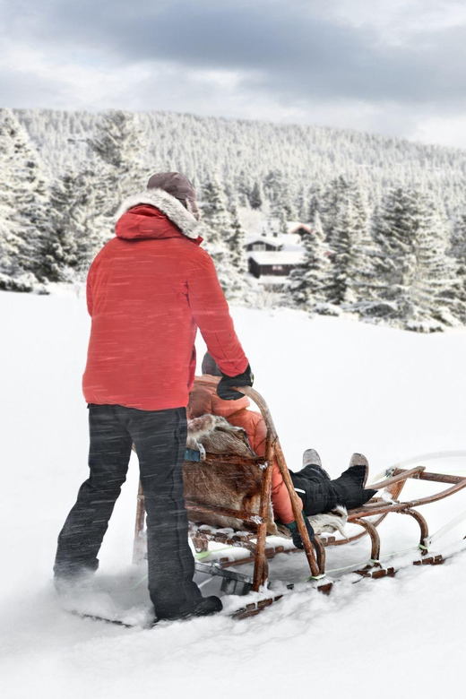 4hr Dog Sledding Trip on Finnmarksvidda - Learning to control your own sled