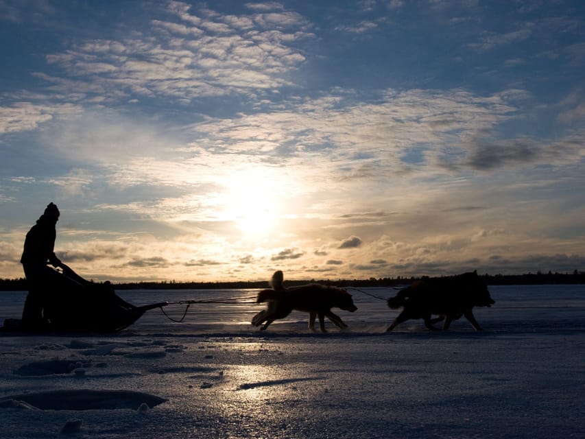 4hr Dog Sledding Trip on Finnmarksvidda - Is $340 a fair price?