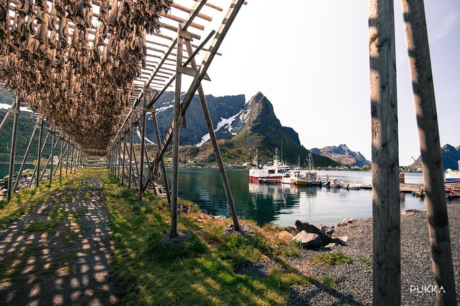 5 Highlights Of Lofoten From Svolvær - Why This Lofoten Tour Works