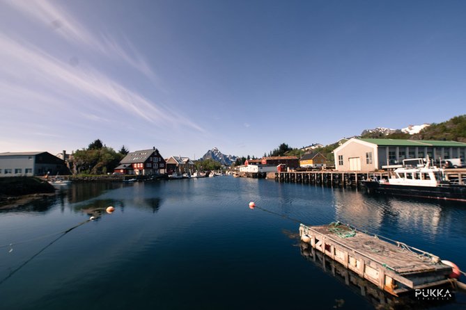 5 Highlights Of Lofoten From Svolvær - Price, Timing, And Overall Value