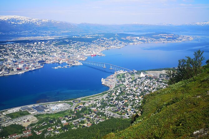 Accessible Tromsø Island Tour - The Arctic University Museum: 50 minutes with local culture