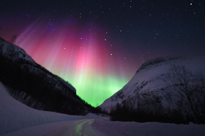 Adults Only Aurora Hunt with Wandering Owl - Photos beneath the aurora