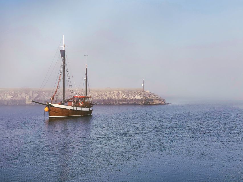 Alesund: Private Tour to the Viking Islands - Weather, pace, and who will enjoy it most