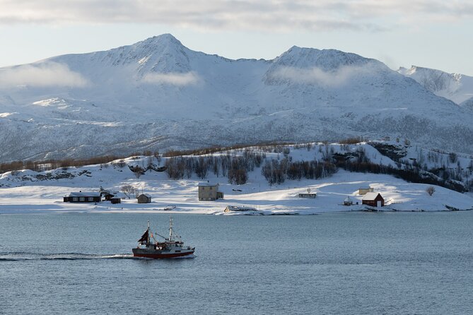 All-Inclusive Arctic Fjords and Sommarøy Scenic Tour - Five things to know before booking