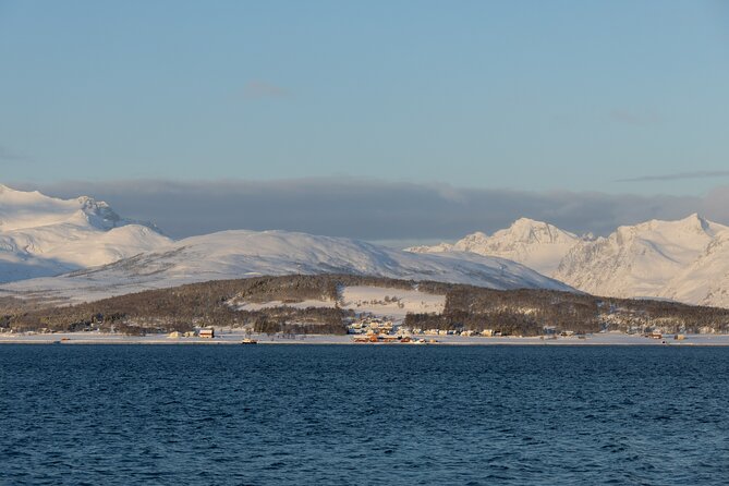 All-Inclusive Arctic Fjords and Sommarøy Scenic Tour - Why the small group changes the experience