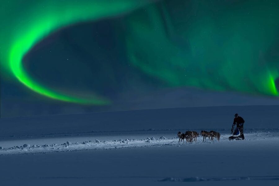 Alta: Dog Sledding Trip under the Northern Lights - Who will enjoy this most