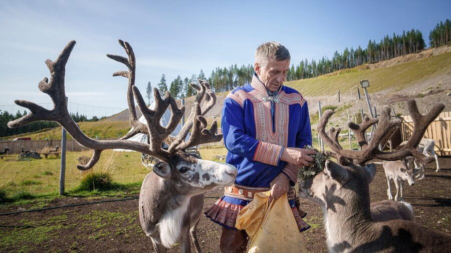 Alta: Reindeer - A carrier of Sámi Culture - Key points to know before you go