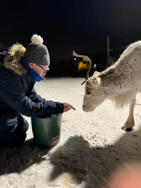 Alta: Sami Cultural Experience with Lavvu and Reindeers - Coffee, tea, and Masi cake by the fire