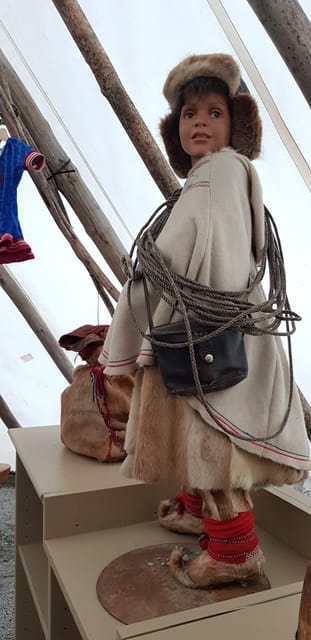 Alta: Sami Cultural Experience with Lavvu and Reindeers - Is $146 a fair price?