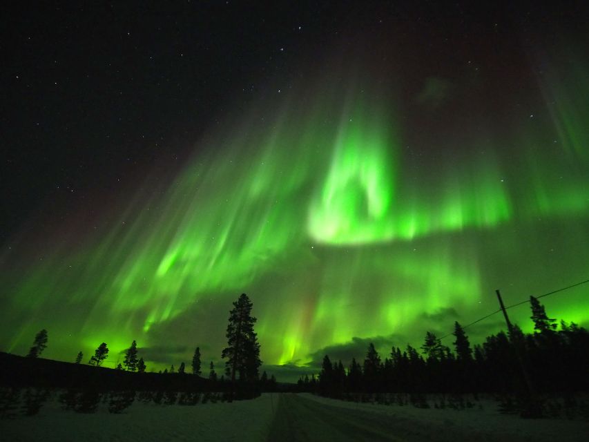 Alta: Small-Group Guided Northern Lights Tour - Key Points Before You Book