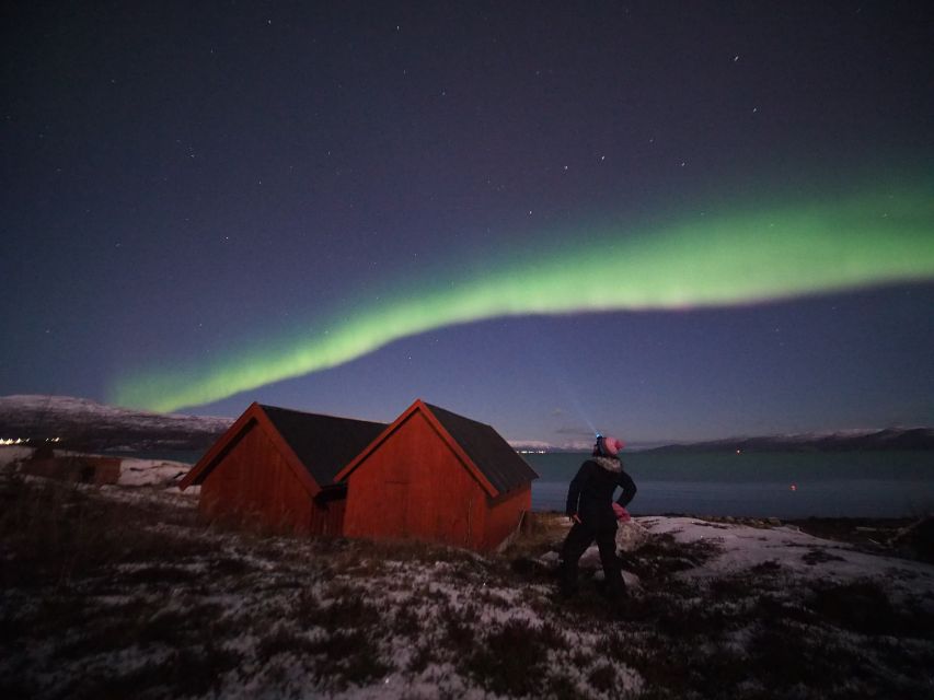 Alta: Small-Group Guided Northern Lights Tour - Why Alta Is a Good Place to Hunt the Aurora
