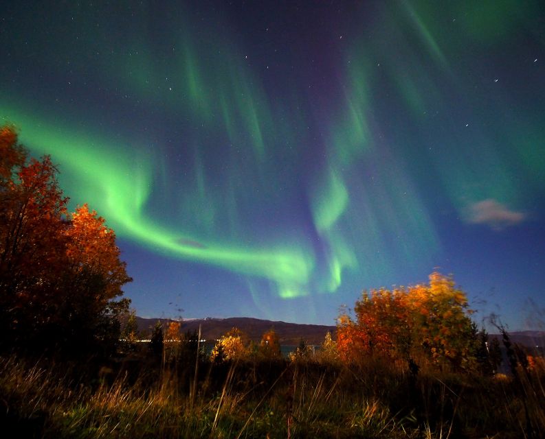 Alta: Small-Group Guided Northern Lights Tour - Is $251 a Fair Price?