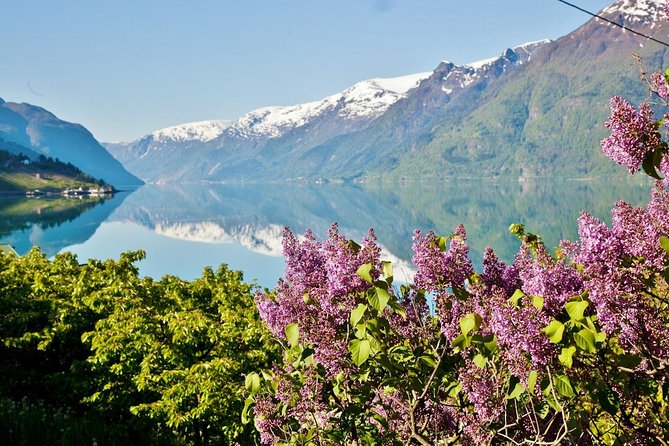 AMAZING HARDANGER FJORD: Private guided round trip from Bergen, 10 hours - Steinsdalsfossen lets you walk behind the water