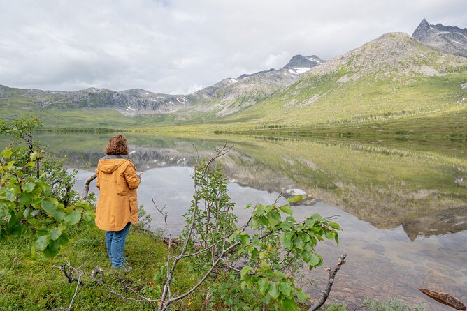 Arctic Fjord Roadtrip with Scenic Picnic from Tromso - Free photos are a genuine bonus