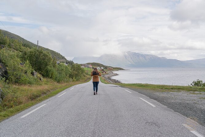 Arctic Fjord Roadtrip with Scenic Picnic from Tromso - Transport, comfort, and meeting point details