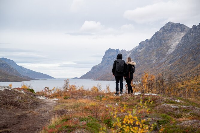 Arctic Fjord Roadtrip with Scenic Picnic from Tromso - The Kvaløya route and its changing stops