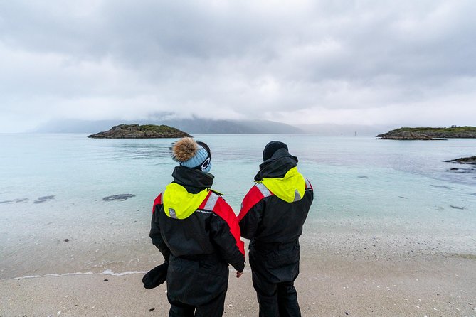 Arctic Fjord Sightseeing by Minibus - Hella combines scenery and ancient rock carvings