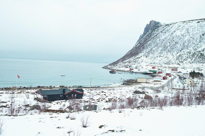 Arctic Fjord Sightseeing by Minibus - Guide quality can shape the whole day