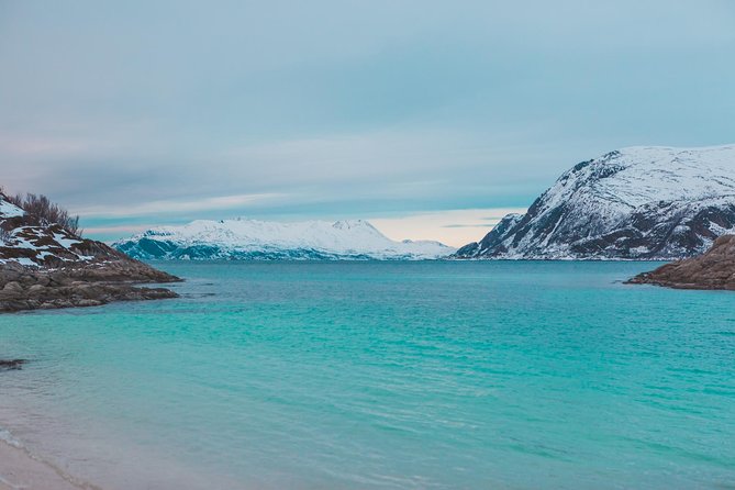 Arctic Fjord Sightseeing by Minibus - Is $136.99 a fair price?