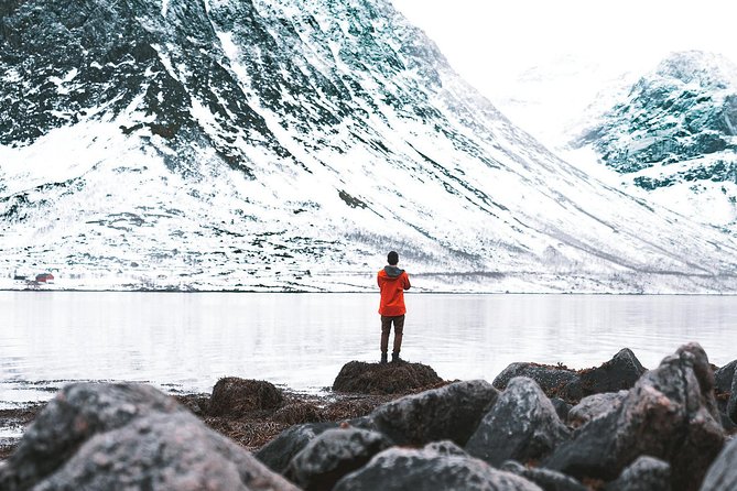 Arctic Fjord Sightseeing by Minibus - Ersfjord: a quiet coastal opening