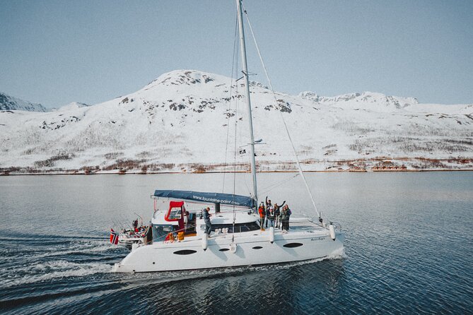 Arctic Fjordcruise & Safari in Tromso with Luxury Catamaran - A three-hour introduction to Tromso by water