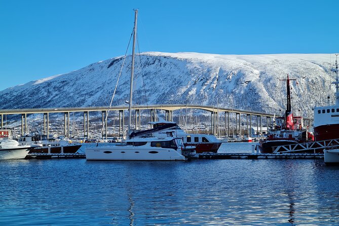 Arctic Fjordcruise & Safari in Tromso with Luxury Catamaran - The crew makes the experience