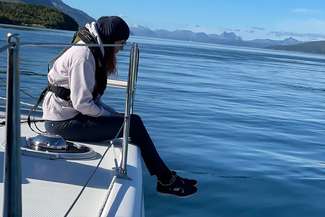 Arctic Fjordcruise & Safari in Tromso with Luxury Catamaran - Coffee, snacks, and the value of a shorter cruise
