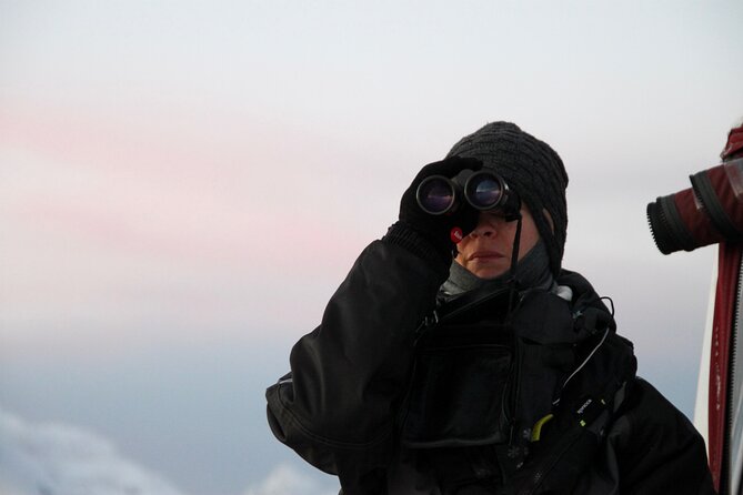 Arctic Fjordcruise & Safari in Tromso with Luxury Catamaran - Weather, winter conditions, and canceled departures