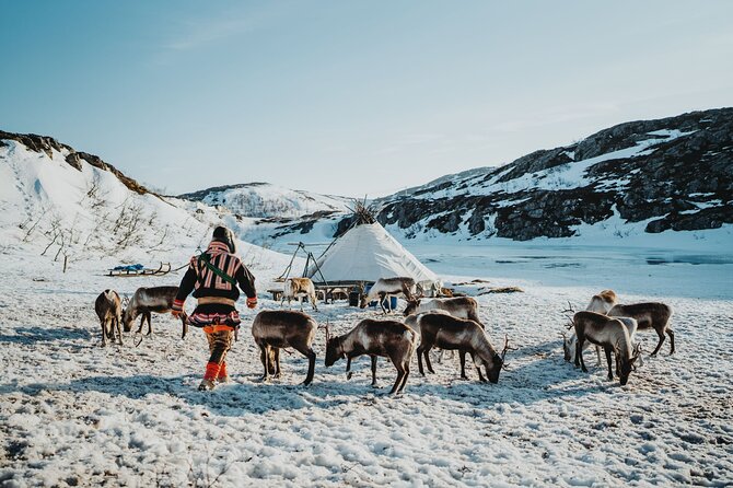Arctic Fjords and Reindeer Experience – Small group tour - Key Points To Know Before Booking
