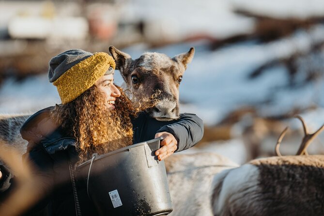 Arctic Fjords and Reindeer Experience – Small group tour - Why This Tromsø Day Trip Works So Well