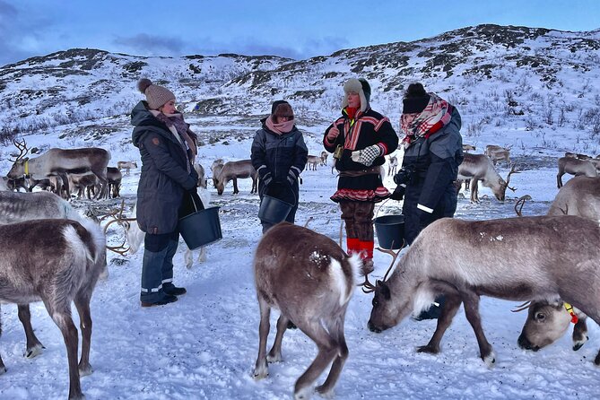 Arctic Fjords and Reindeer Experience – Small group tour - Inside the Lavvo: Joik, Fire, and Sami Traditions