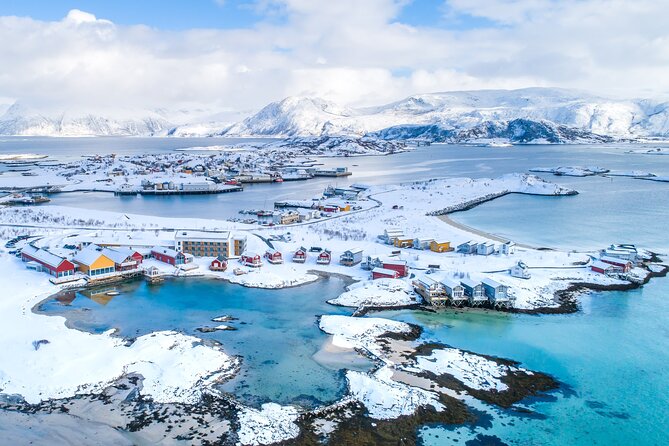 Arctic Fjords and Reindeer Experience – Small group tour - Sommarøy: White Beaches and an Easy Lunch Break