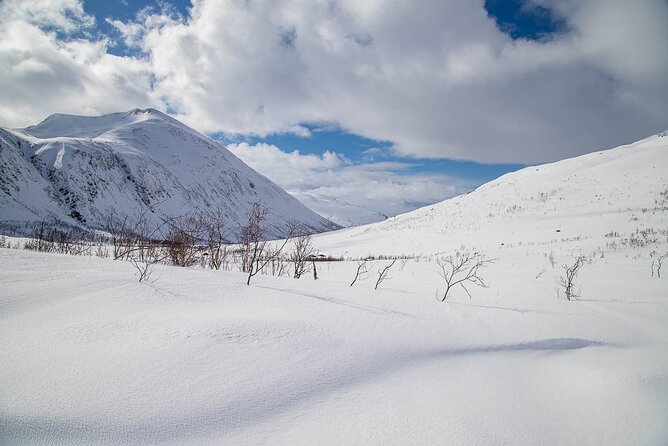 Arctic Landscapes Hiking, Sightseeing & Snowshoeing Private Tour - Fjord views, wildlife, and changing conditions