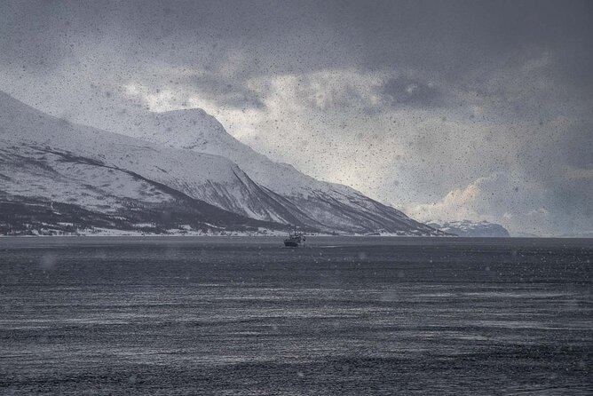 Arctic Landscapes Hiking, Sightseeing & Snowshoeing Private Tour - A warm lunch makes the Arctic easier