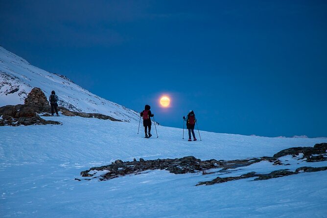 Arctic Landscapes Hiking, Sightseeing & Snowshoeing Private Tour - Why the small group matters