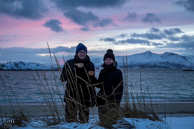 Arctic Nature Photography Sightseeing Tour from Tromso - Wildlife: enjoy the possibility, manage the expectation