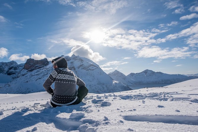 Arctic Nature Photography Sightseeing Tour from Tromso - Viewpoints, villages, and fjord country