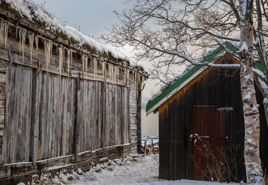 Arctic Nature Tour from Tromsø - Key points at a glance
