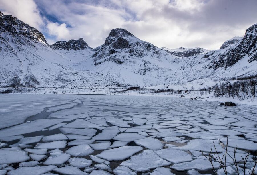 Arctic Nature Tour from Tromsø - Is $142 a fair price?